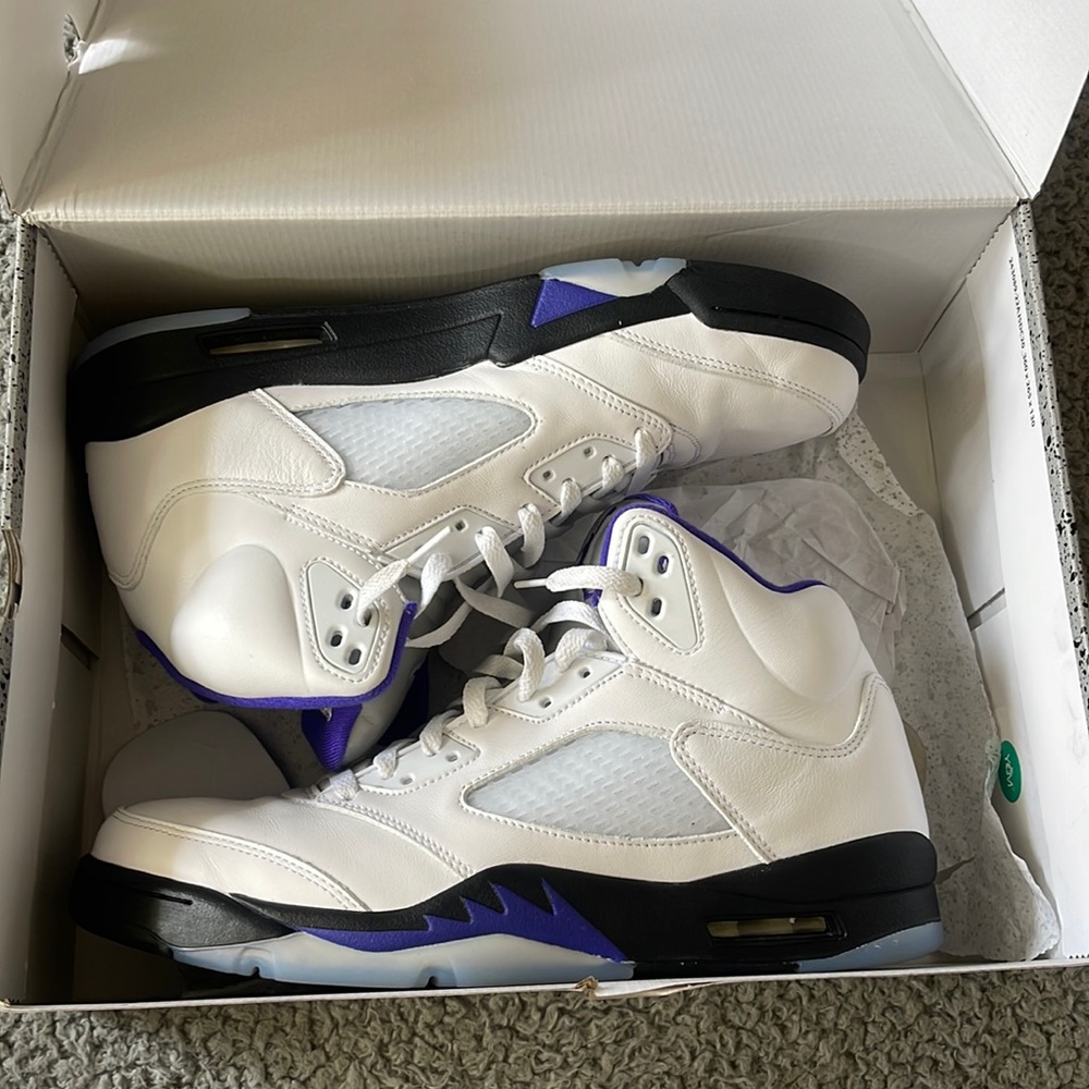 Jordan 5 Grape Concord